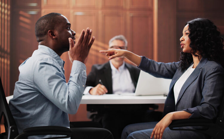  High-Conflict Family Law Cases and Court Intervention